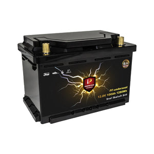 100Ah LiFePo4 12V / 100 Ah Batterie Lithium Akku mit BMS und Heizfolie - 6 Jahre Garantie